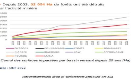 Les assos environnementales alertent sur les demandes des miniers