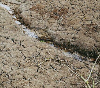 Modernisation du système d’indemnisation des pertes agricoles : le projet de loi entériné