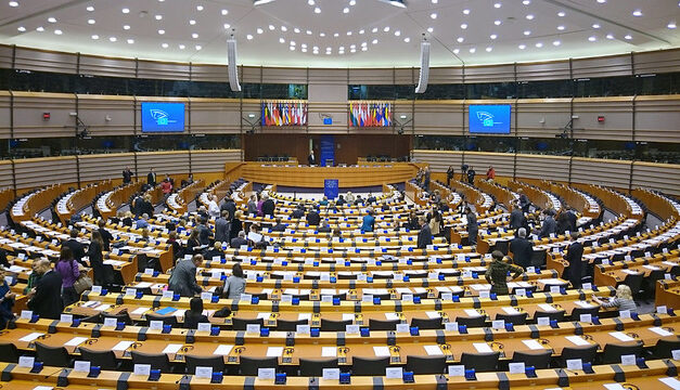 Européennes : le Rassemblement national domine aux Antilles-Guyane