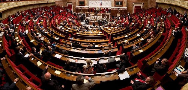 Législatives anticipées : quels sont les candidats aux Antilles-Guyane ?