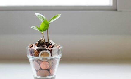 Les entreprises guyanaises ont généré 5,8 mds € de chiffre d’affaires en 2022