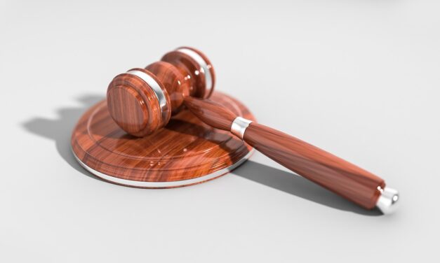 Tribunal administratif : retour sur trois affaires emblématiques en 2024