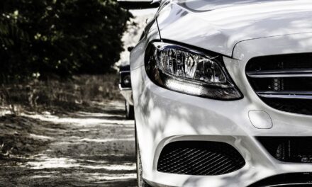 Écarts de prix sur le marché de l’automobile : les professionnels s’expliquent