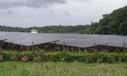 ADEME : 20,5 M€ d’aides pour des projets liés à l’environnement en 2024
