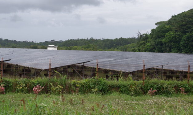 ADEME : 20,5 M€ d’aides pour des projets liés à l’environnement en 2024