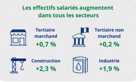 L’emploi salarié continue de progresser en Guyane fin 2024