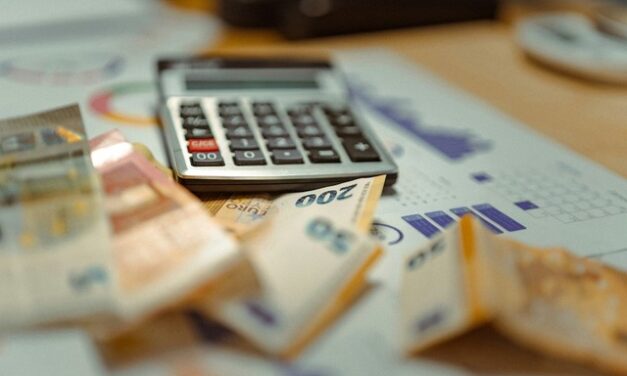 L’activité se redresse en 2024, mais les signes de fragilité s’accumulent
