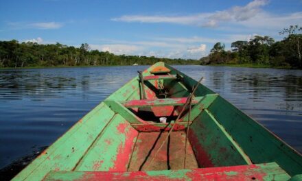 Quelle gestion des ressources bois, or et halieutiques en Guyane ?