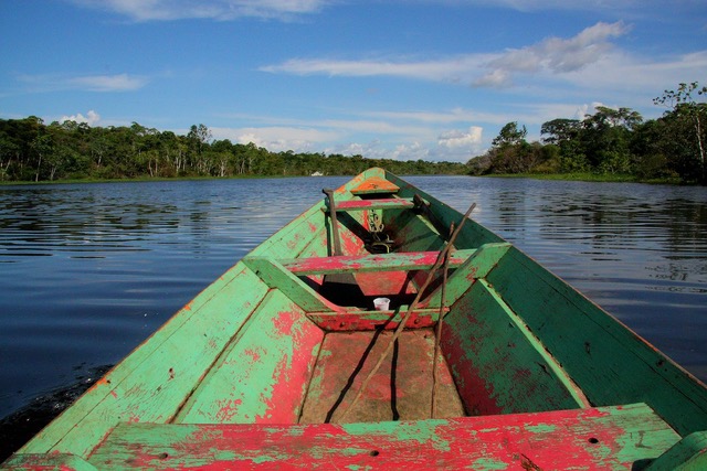 Quelle gestion des ressources bois, or et halieutiques en Guyane ?