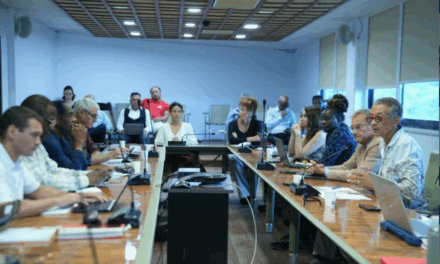Bilan 2024 de la Safer Guyane : une première année fondatrice