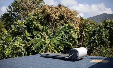 Énergies renouvelables et gestion des déchets : les avancées de l’ADEME en Outre-mer en 2024