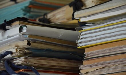 Tribunal administratif de Guyane : une activité soutenue et diversifiée