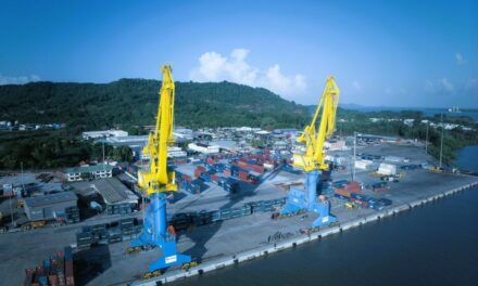 L’activité du Grand port maritime de Guyane en forte croissance en 2024
