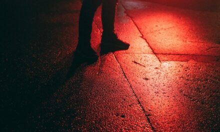 L’AGAV-CIDFF dresse un état des lieux de la prostitution en Guyane