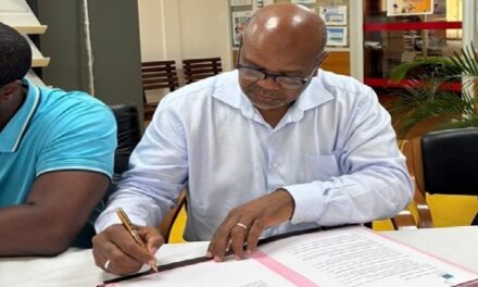 Crise d’assurabilité : plus de 20% des entreprises concernées en Guyane