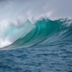 La santé de l’océan menacée par la triple crise environnementale mondiale