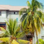 Plus de ménages multigénérationnels et de logements suroccupés dans les DOM