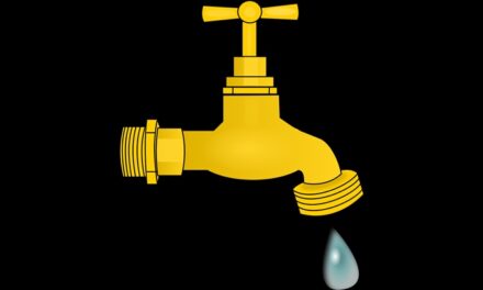 Trihalométhanes dans l’eau : la Guyane réclame des explications