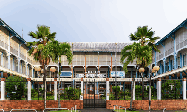Entreprendre en Guyane : entre fragilités économiques et nouveaux horizons