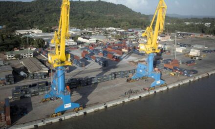 Installation de nouvelles grues électriques pour moderniser le port de Dégrad-des-Cannes