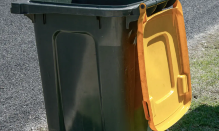 La Guyane face au défi du tri : des progrès faibles mais notables