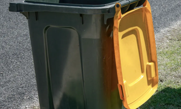 La Guyane face au défi du tri : des progrès faibles mais notables