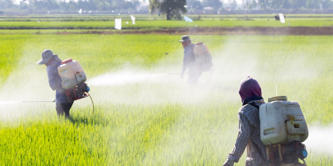 Agriculture et santé : la Guyane attend des contrôles renforcés sur les importations
