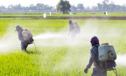 Agriculture et santé : la Guyane attend des contrôles renforcés sur les importations
