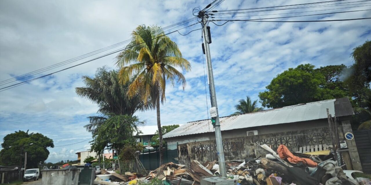 Déchets sauvages : un problème collectif aux responsabilités dispersées