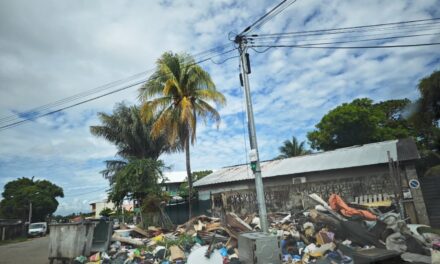Déchets sauvages : un problème collectif aux responsabilités dispersées