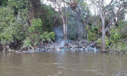 Sentinelles de la Nature alerte sur la pollution de l’Ouest Guyanais
