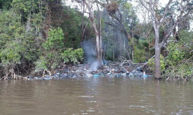 Sentinelles de la Nature alerte sur la pollution de l’Ouest Guyanais
