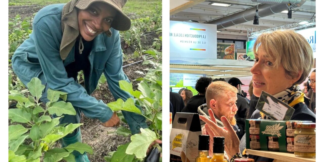 Vers une agriculture guyanaise durable « tournée vers le vivant »