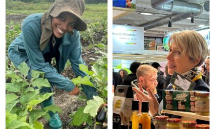 Vers une agriculture guyanaise durable « tournée vers le vivant »