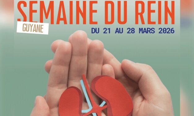 Semaine du rein en Guyane : “Le dépistage précoce essentiel contre cette maladie silencieuse”