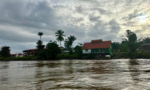 Pollution de l’eau en Guyane : un enjeu de nouveau au coeur des préoccupations