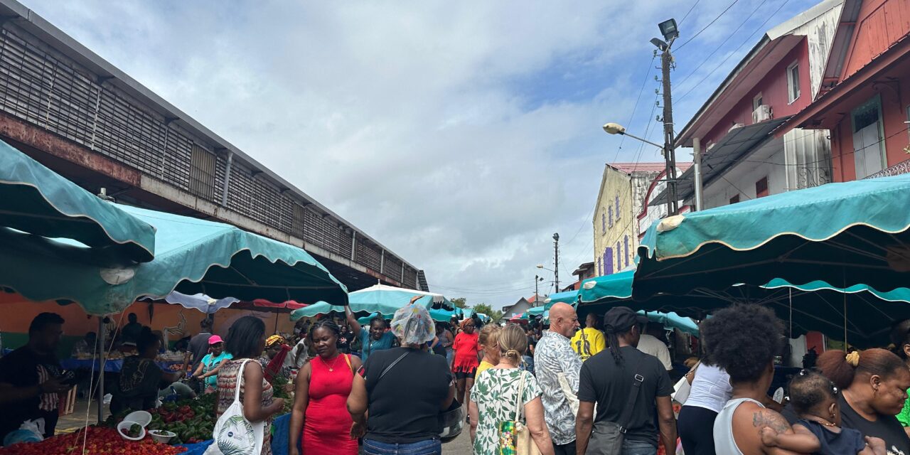 Guyane : une croissance de la population élevée malgré un recul de la natalité