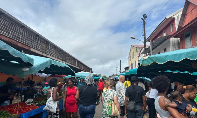 Guyane : une croissance de la population élevée malgré un recul de la natalité