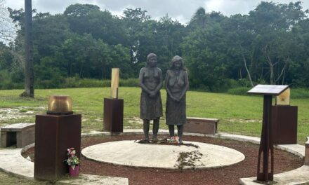 Proposition de loi pour la restitution des dépouilles kali’nas et awaraks à la Guyane