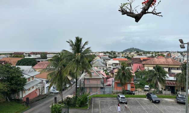 Taxe foncière sur le bâti en Guyane : des millions d’euros s’en vont ailleurs 