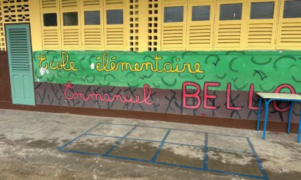 Les défis de l’éducation en Guyane se multiplient