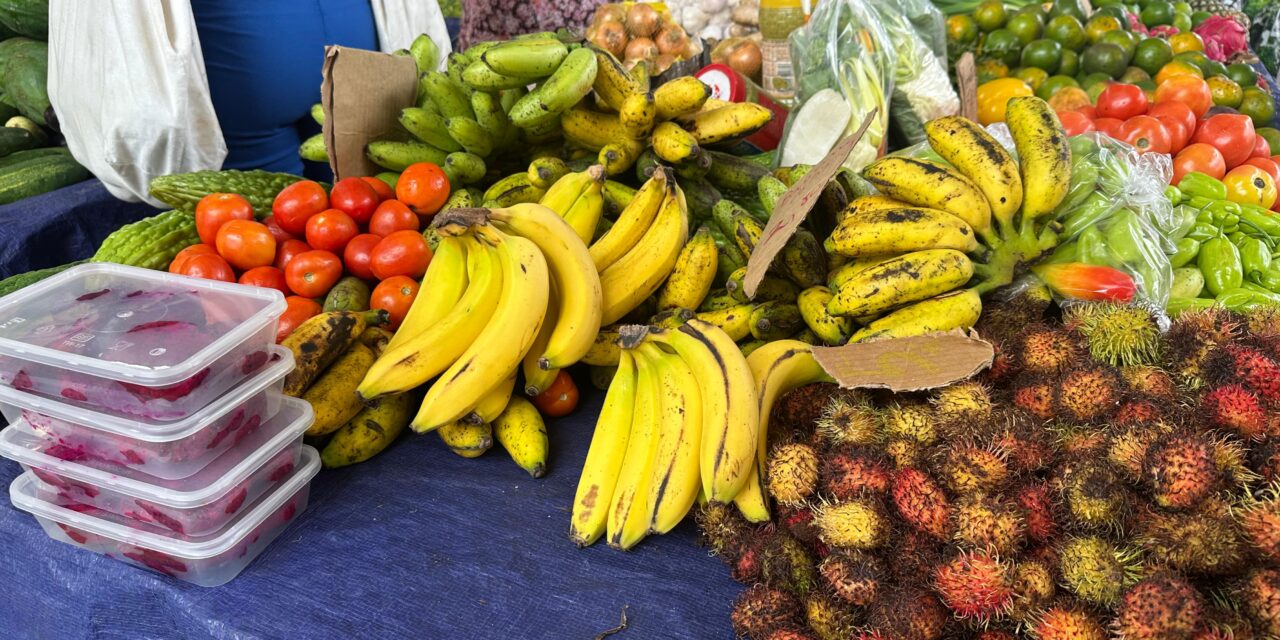 La Guyane appelle à repenser l’agriculture à l’échelle du territoire