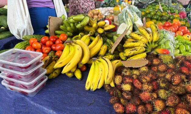 La Guyane appelle à repenser l’agriculture à l’échelle du territoire