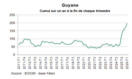 +201,5% d’entreprises en défaillances en Guyane en un an