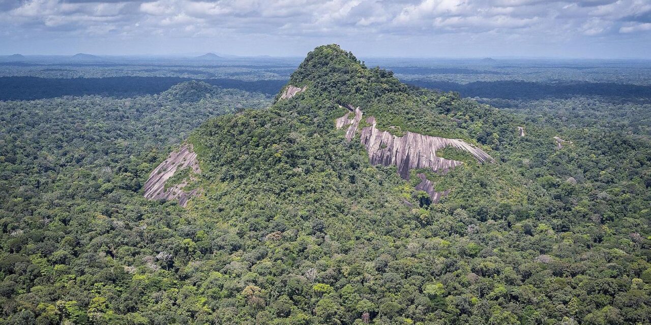Guyane : une forêt tropicale de 156 000 hectares placée sous protection renforcée