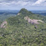 Guyane : une forêt tropicale de 156 000 hectares placée sous protection renforcée 