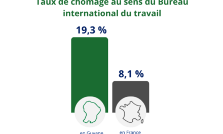 1er trimestre 2026 : L’économie guyanaise croissante mais un chômage en forte hausse 