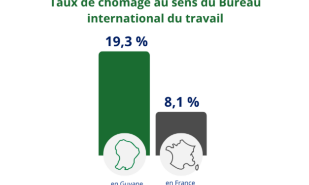1er trimestre 2026 : L’économie guyanaise croissante mais un chômage en forte hausse 
