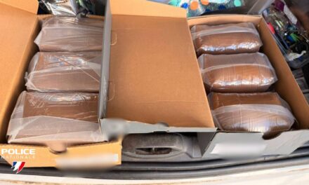 Guyane : un plan renforcé contre le narcotrafic en préparation