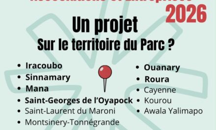 Subventions : les habitants appelés à noter 15 projets 